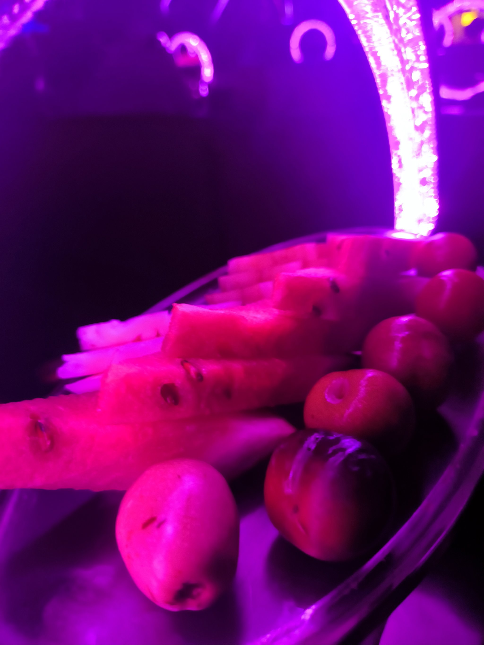 白城商务ktv解释-镇赉县ktv预订